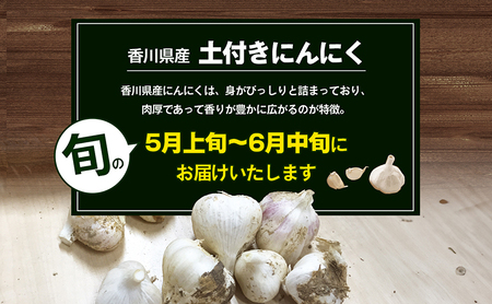 鮮度抜群！土付きにんにく 2kg 野菜 根菜 