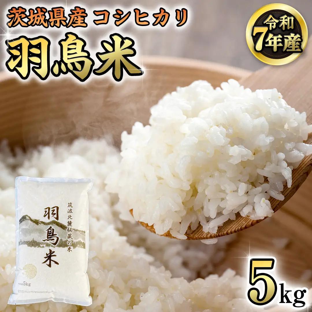 《 令和8年産 先行予約 》 コシヒカリ 「幻の米 羽鳥米」 5kg (5kg × 1袋) 筑波北麓秘蔵米 お米 ごはん 精米 コメ 白米 国産 茨城県 桜川市 限定 期間限定 数量限定 銘柄米 [AX011sa]