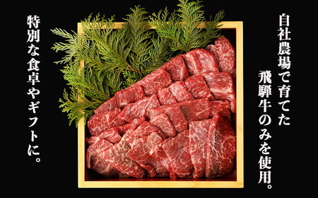 【家計応援 期間限定】飛騨牛赤身焼肉セット 600g（もも焼肉 300g・かた焼肉 300g）焼肉 焼き肉用 飛騨牛 赤身 最高級 国産 牛肉 ブランド牛 和牛 焼き肉 ギフト 贈答 【冷凍】【22-