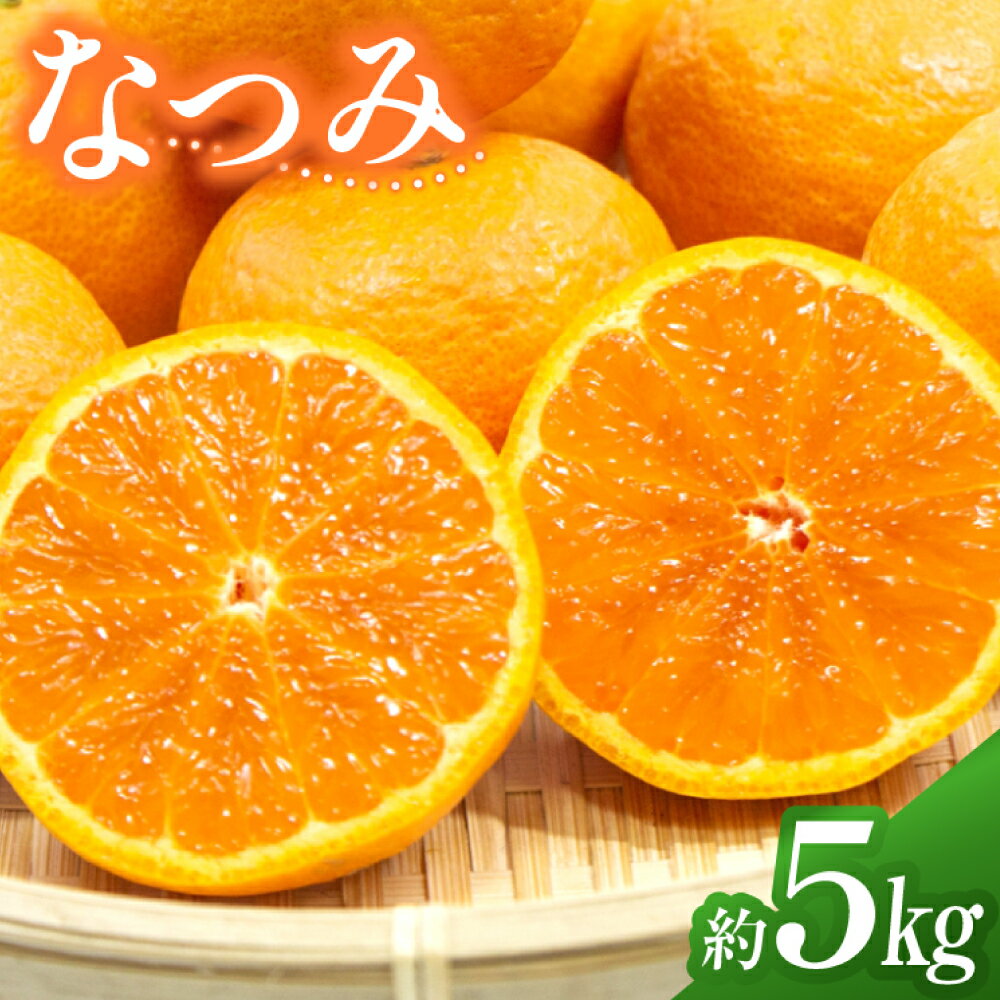 【ふるさと納税】先行予約 希少品種 なつみ 約5kg（3L～2L）南津海 みかん ミカン 蜜柑 柑橘 薄皮 果物 くだもの フルーツ 5キロ 国産 九州 長崎県 長崎市 送料無料【2026年4月上旬～5月下旬発送予定】