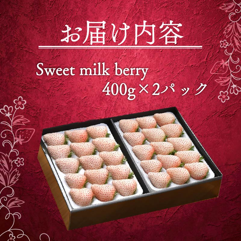 いちご 白いちご 計 800g 計 2 パック 高級 白 イチゴ 苺 セット Sweet milk berry 2 パック 400g × 2 パック フルーツ 果物 ストロベリー 産地直送 国産 スイ