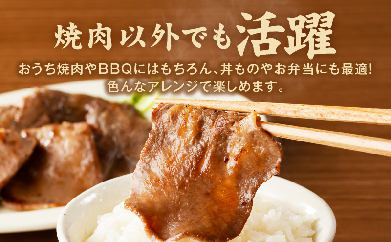 牛たん 500g スライス 小分け 250g×2P【氷温熟成×旨塩ダレ 牛肉 牛タン 焼肉用 訳あり サイズ不揃い】 mrz0079