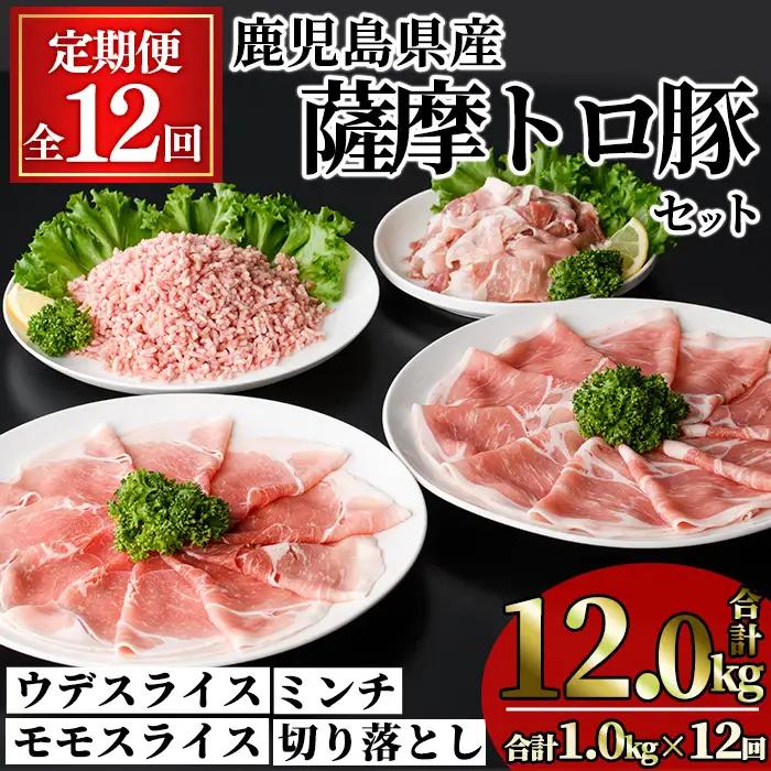 ＜定期便・全12回＞ 鹿児島県産 薩摩トロ豚 モリモリ おためしパック(合計12kg・1.0kg×12回) 【KNOT】T81