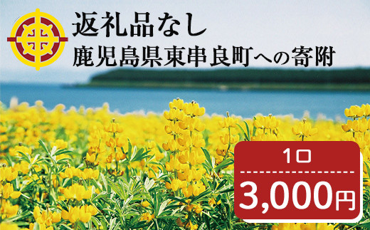 
【0034601a】＜返礼品なし＞鹿児島県本土でいちばん小さな町「東串良町」への寄附(1口：3,000円)
