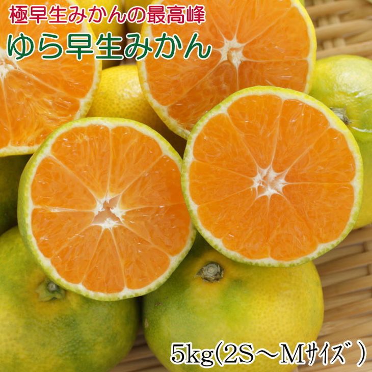 【極早生みかんの逸品】有田産ゆら早生みかん 約5kg<br>※2025年10月中旬～11月中旬頃に順次発送予定