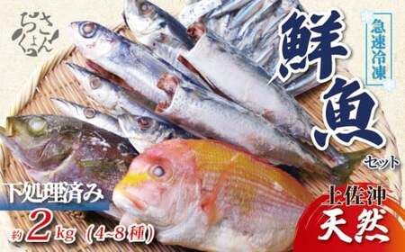 冷凍魚セット 2kg(4~8種) 下処理済み 冷凍鮮魚［1714］