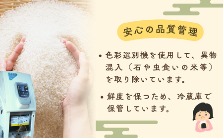 令和7年産 こしひかり 精米 5kg【無洗米真空パック】こしひかり 7-50