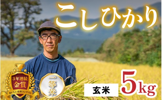 【令和8年産 新米】越前大野産 一等米 帰山農園の棚田育ちコシヒカリ 玄米 5kg × 1袋