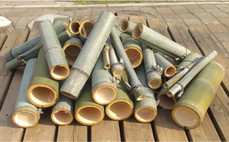 竹 モウソウチク 北限の竹 自然素材 国産 切りたて 新鮮 香り高い 加工 工作 インテリア DIY 園芸 クラフト [ やってみっか奔舎 宮城県 加美町 ]