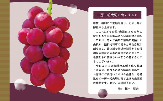【令和6年産先行予約】 大粒ぶどう 食べ比べセット おまか
