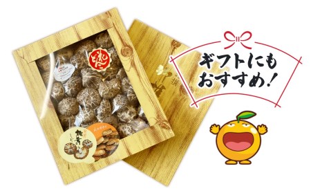 最高級 大分県産 花どんこ椎茸 260g 花どんこ 山のあわび 乾燥椎茸 乾燥 しいたけ 干し椎茸 乾し椎茸 乾燥野菜 大分県 津久見市 九州産野菜