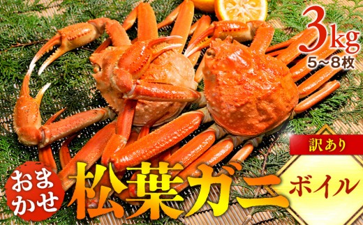 【ボイル】訳あり　松葉ガニおまかせ3kg（5～8枚）※2026年11月上旬～2027年3月下旬頃に順次発送予定※着日指定不可｜ 蟹 かに 松葉ガニ 松葉蟹 訳あり 家庭用 鳥取県産 北栄町 おすすめ 人気
