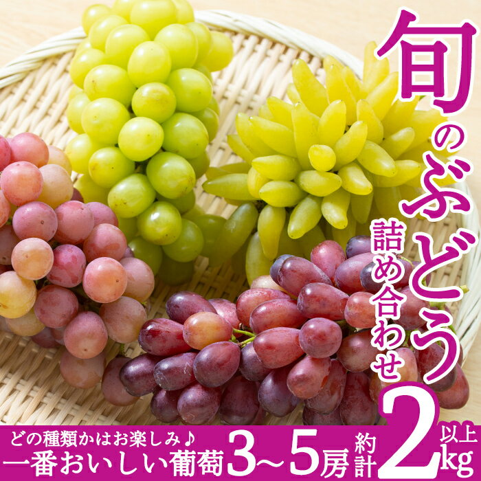 【ふるさと納税】＜先行予約受付中！2025年8月中旬～9月下旬の間に発送予定＞旬のぶどう詰め合わせ3～5房(約2kg以上)シャインマスカット 瀬戸ジャイアンツ 葡萄 ブドウ 国産 フルーツ 果物 くだもの 秋 旬 【さくら農園】