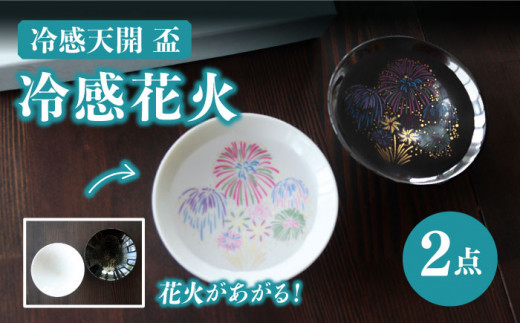 【温度で変化する】【美濃焼】 平盃ペアセット 『冷感花火』【丸モ高木陶器】≪多治見市≫ 食器 おしゃれ [TBA008]