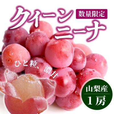 
                  希少品種!『クイーンニーナ1房』ぶどうの赤い宝石。山梨県産の注目品種でおすすめ【1041238】
                