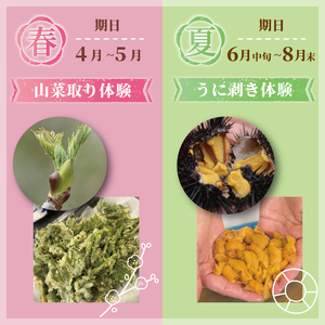 季節の三陸体験 体験チケット (2名様分/1体験) 三陸アクティブ 三陸 大船渡 大船渡市 体験 体験チケット チケット 夏休み 冬休み 春休み うに ウニ 山菜 山菜取り キノコ きのこ きのこ狩り