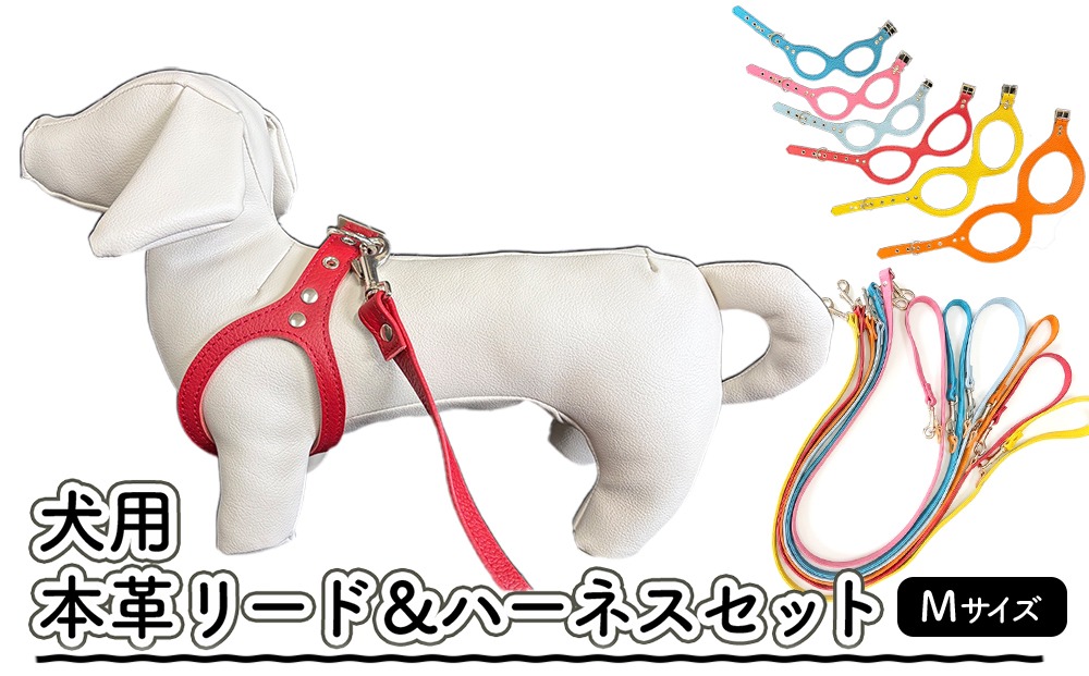 犬用・本革リード、ハーネスセット Mサイズ | リード ハーネス セット 犬 おしゃれ