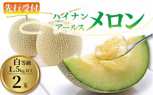 2025年度産 アールス メロン 2玉 先行予約 1.5kg以上×2玉 メロン 果物 めろん フルーツ 数量限定 7月から 順次発送 白等級 父の日 贈答用 お中元 プレゼント ギフト 箱付き JA ハイナン 牧之原市 静岡 県