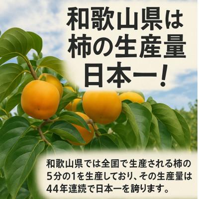 ふるさと納税 橋本市 柳フルーツ園の干し柿セット 約2kg |  | 03