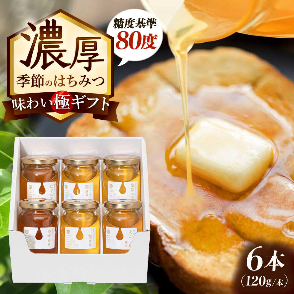 【ふるさと納税】東美濃厳選 季節のはちみつ 味わい極ギフト 120g×6本 瑞浪市 / 堀養蜂園 おまかせ 蜂蜜 国産[AZCF003]