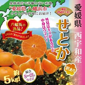 2025年2月発送開始　柑橘の大トロ!「せとか」約5キロ　限定250個【訳あり品】【C39-52】_美味しいみかん 美味しいミカン おいしいみかん おいしいミカン 人気のみかん 人気のミカン 国産みかん 国産ミカン 八幡浜みかん 八幡浜ミカン 甘いみかん 甘いミカン あまいみかん アマイミカン 果物みかん くだものみかん 果物ミカン クダモノミカン 美味しいせとか 美味しいセトカ おいしいせとか おいしいセトカ 人気のせとか 人気のセトカ 国産せとか 国産セトカ 八幡浜せとか 八幡浜セトカ 甘いせとか 甘い