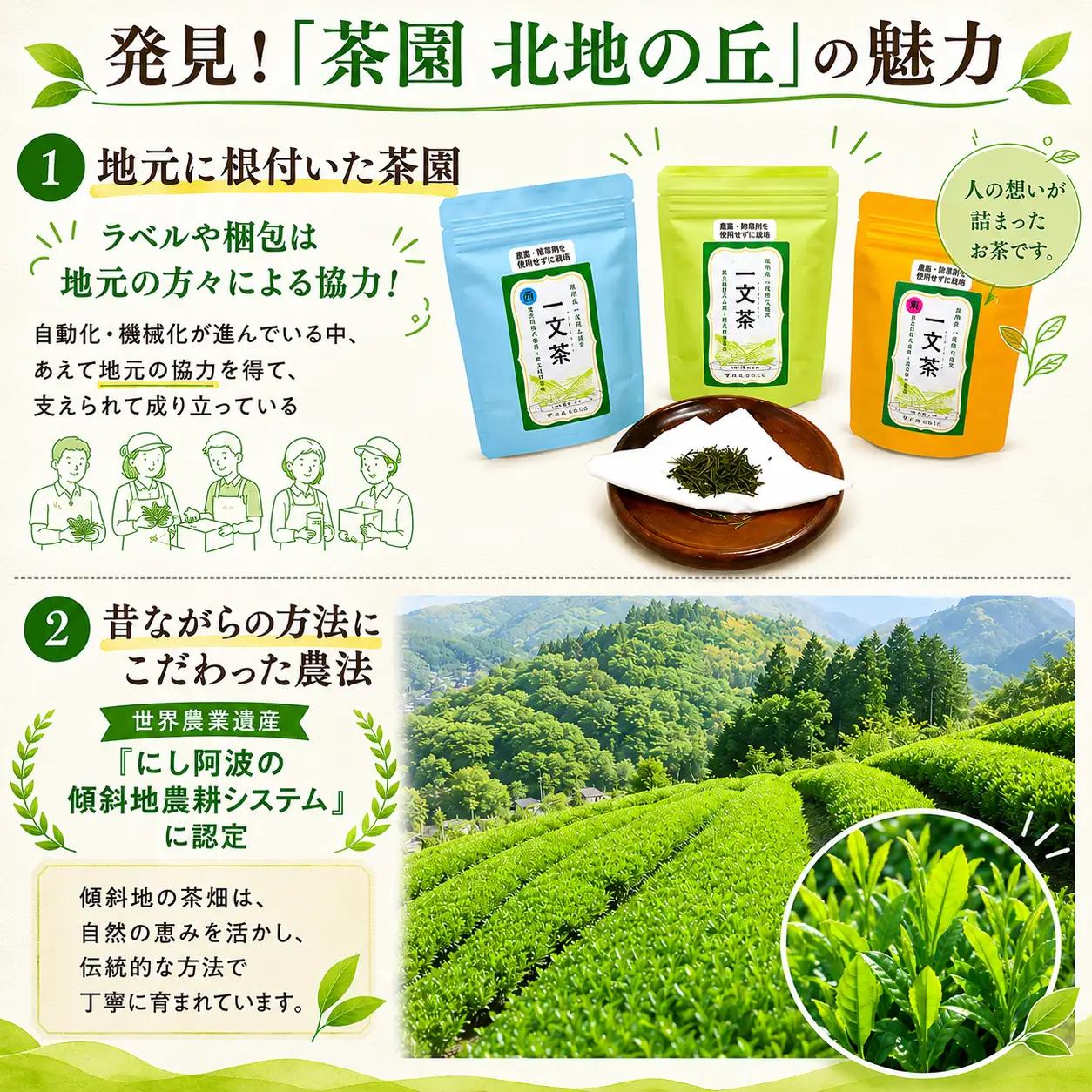〈 お試し 〉 新茶 緑茶 東 西 ブレンド 飲み比べ セット 25g × 3袋 茶葉 【 一文茶 】