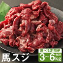 【ふるさと納税】【選べる定期便】馬スジ 1回につき1kg 3ヶ月定期便/6ヶ月定期便 500g×2パック 小分け すじ 馬すじ 馬肉 冷凍 送料無料