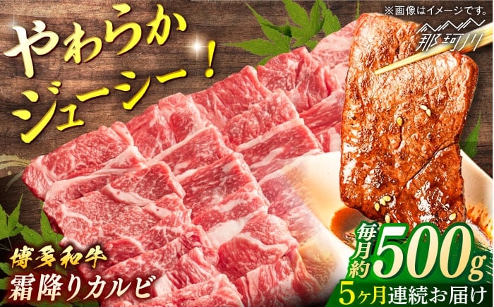 
            【全5回定期便】博多和牛　霜降りカルビ　約500ｇ×5回＜一般社団法人地域商社ふるさぽ＞ 那珂川市 [GBX121]
          