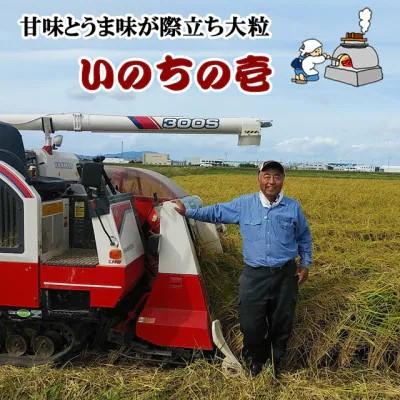 ふるさと納税 燕市 【7年産新米先行予約】大粒で甘味とうま味が際立つ「いのちの壱」精米5kg |  | 01