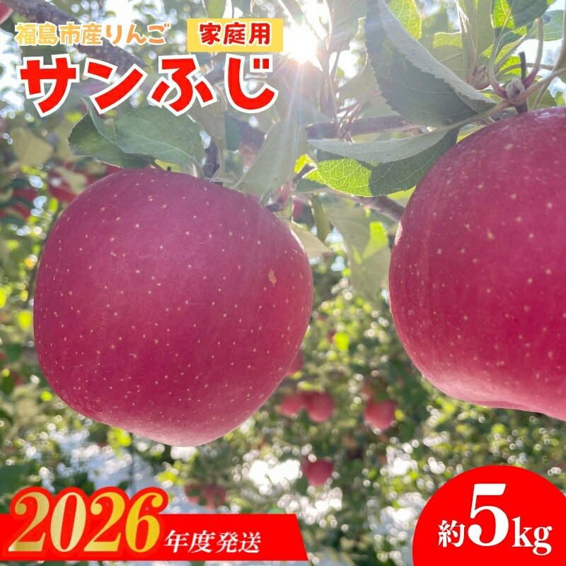 【ふるさと納税】No.2437 訳あり 葉とらずりんご サンふじ ご家庭用 約5kg【2026年度発送】