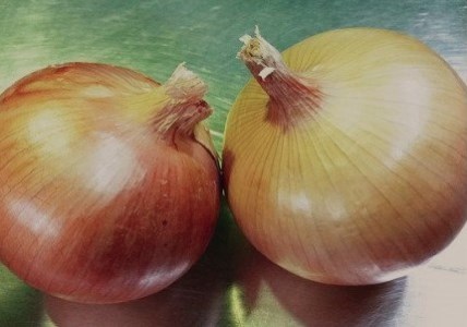 兵庫県認証食品★特別栽培★淡路島たまねぎ【３kg】