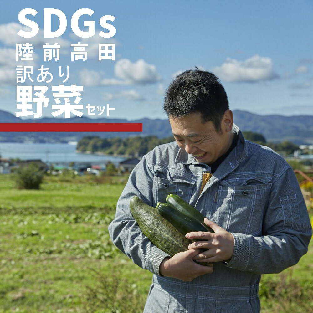 【ふるさと納税】訳あり 野菜セット 約3〜4種 5000円 おためし 農家のおすそわけ [ 野菜 やさい ベジタブル 季節 旬 お試し 冷蔵 詰め合わせ セット SDGs お楽しみ こだわり 料理 産地直送 農家 農業 岩手 陸前高田 ひころいちファーム ] 大根 白菜 トマト ブロッコリー
