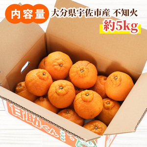 ＜先行予約受付中！2025年3月下旬より順次発送予定＞産地直送！！大分県宇佐市産 不知火(約5kg)みかん ミカン 蜜柑 柑橘 しらぬい フルーツ 果物 くだもの 果実 国産【103600600】【井