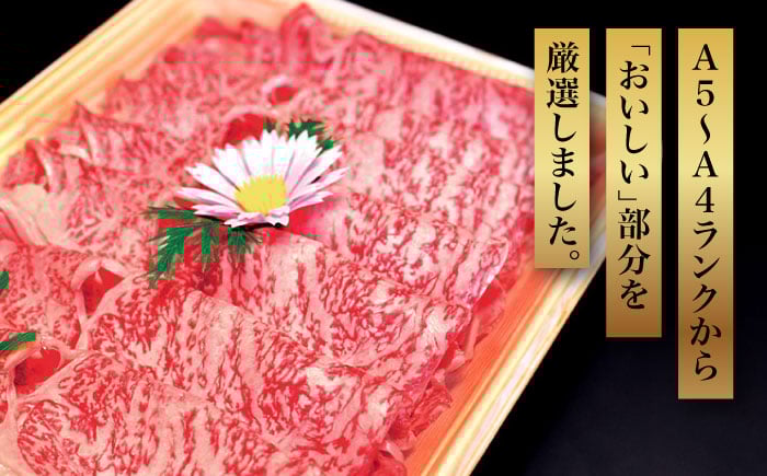 【化粧箱入】【A4?A5】博多和牛 すき焼用 肩ローススライス400g たれ付 吉富町/株式会社マル五 [BGAC003]