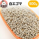 【ふるさと納税】白エゴマ 500g×1袋 サイトウ・コーポレーション 飼料