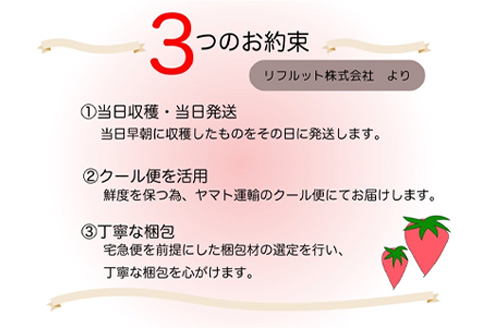 『先行予約』【令和8年4月より順次発送】唐津産 いちごさん 約250g×8パック(合計約2kg) 濃厚いちご 苺 イチゴ 果物 フルーツ