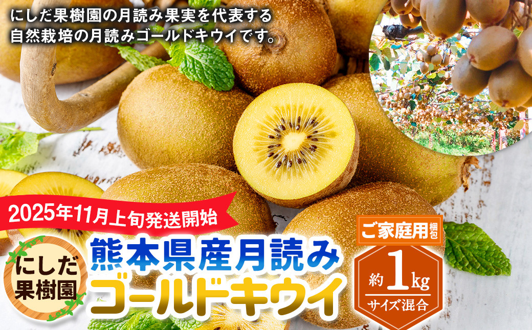 
            （ご家庭用梱包）にしだ果樹園の熊本県産 月読み ゴールドキウイ サイズ混合 約1kg 【2025年11月上旬発送開始】 キウイフルーツ キウイ 果物 果実 フルーツ 九州 熊本県産 熊本県 常温
          