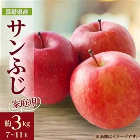 【家庭用】りんごの王様　長野県産 りんご　サンふじ　約3kg(7～11玉程度)【配送不可地域：離島】【1574732】