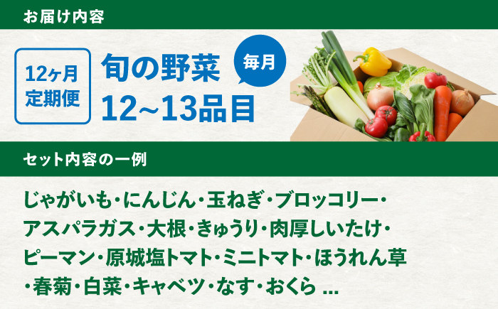 【12回定期便】野菜のプロが選ぶ 旬の野菜セット 12～13品目 野菜定期便 / 野菜 やさい セット 新鮮 / 南島原市 / 愛2農園 [SGG001]