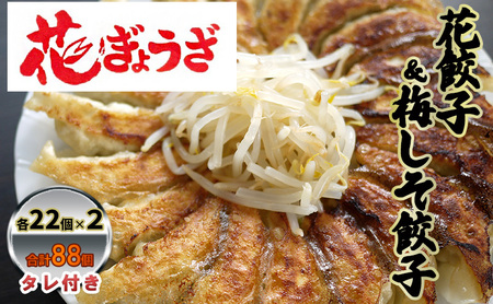 餃子 花餃子 梅しそ餃子 各2袋 冷凍 惣菜 餃子