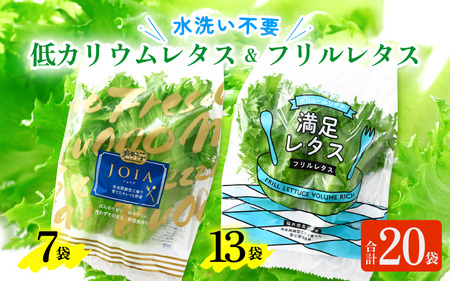 【福井県美浜町産】低カリウムレタス&フリルレタス　計20個セット【野菜 生野菜 レタス サラダ サンドイッチ お弁当 水耕栽培 洗わず食べられる 時短 付け合わせ ダイエット ヘルシー】レタス フリル