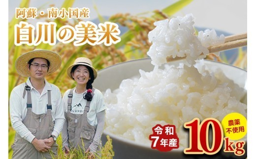 令和7年産 白川の美米 10kg 令和7年産 南小国産 玄米 白米 3分づき 5分づき 7分づき 森のくまさん 精米 米 お米 ご飯 ごはん 無農薬 農薬不使用 自然栽培 産地直送 白川自然農園 熊本 南小国 送料無料