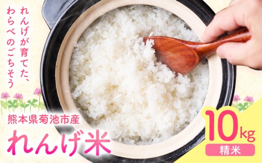熊本県菊池市産のれんげ米 10kg 《30日以内に出荷予定(土日祝除く)》 精米方法 精米 お米 白米 レンゲ米 熊本県産 九州産 送料無料