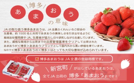 A1323.人気№１獲得謝礼品★限定品★あまおう約５４０g（先行受付．２０２４年１月以降発送）
