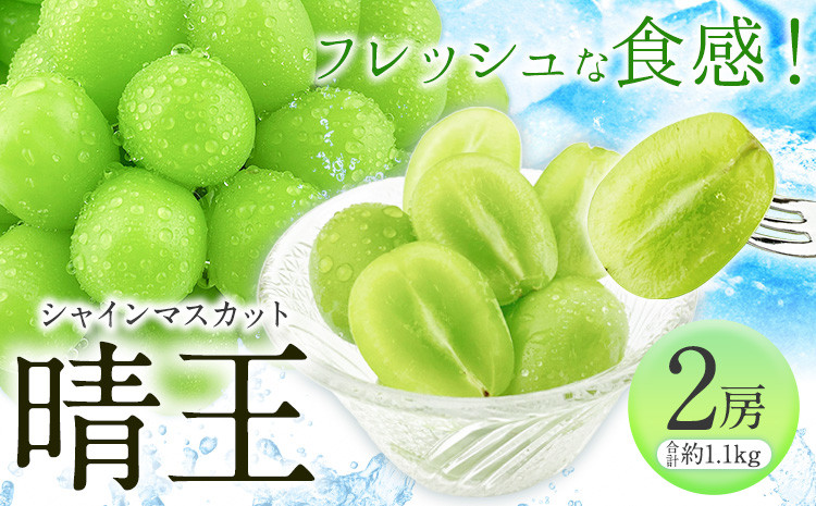 
            【先行予約】シャインマスカット 晴王 2房(約1.1kg)《2026年9月上旬-10月上旬頃出荷(土日祝除く)》 田口青果 マスカット 送料無料 岡山県 浅口市 シャインマスカット ぶどう フルーツ 果物 贈り物 ギフト 国産 岡山県産 くだもの 果物 青果物【配送不可地域あり】
          