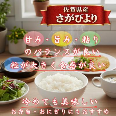 ふるさと納税 江北町 令和7年産さがびより10kg、夢しずく10kg【白米 計20kg】お米マイスター厳選!(江北町) |  | 01