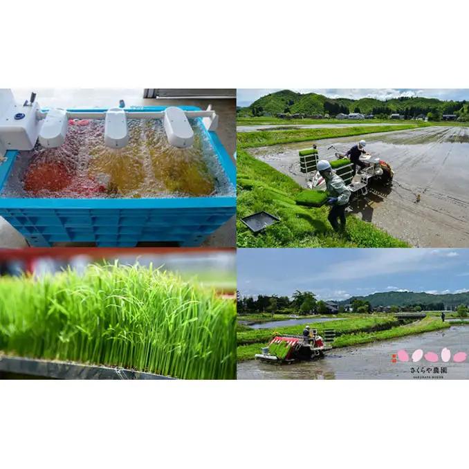 【先行予約 令和8年産】魚沼産 コシヒカリ 魚沼の旬米コシヒカリ 精米 5kg お米