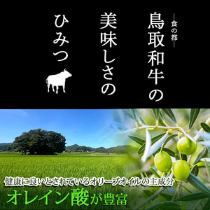 A5ランク 鳥取和牛焼肉食べ比べ 厳選部位4種類 合計400g 牛肉 精肉 肉 カタセイ 上カルビ 食べ比べセット サーロイン 肩ロース ランプ 牛モモ 三角バラ 特上カルビ カルビ 和牛 高級肉 お