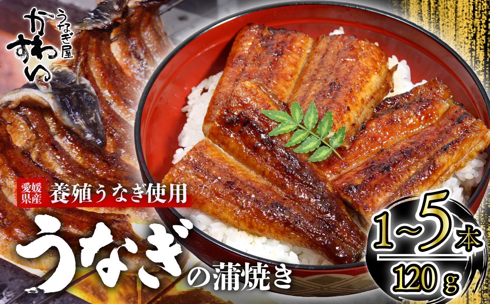 
            【容量選択可】〈うなぎ屋かわすい〉愛媛県松山市養殖うなぎを使用！うなぎ蒲焼 1本～5本 (1尾：120～149g)  ｜うなぎ ウナギ 鰻 蒲焼き 国産 国産鰻 国産ウナギ 国産うなぎ 養殖うなぎ 養殖鰻 養殖ウナギ ひつまぶし お取り寄せ グルメ 冷凍 簡単調理 かば焼き 蒲焼き 土用丑の日 ギフト 贈り物 お中元 お歳暮 母の日 父の日  かわすい 川口水産 愛媛県 松山市
          