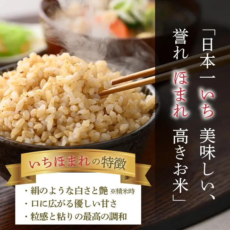 【令和7年産】定期便3回 いちほまれ 玄米 5kg×3回（計15kg）《新鮮な高品質米をお届け！》／ 福井県産 ブランド米 ご飯 [aw064-c007]